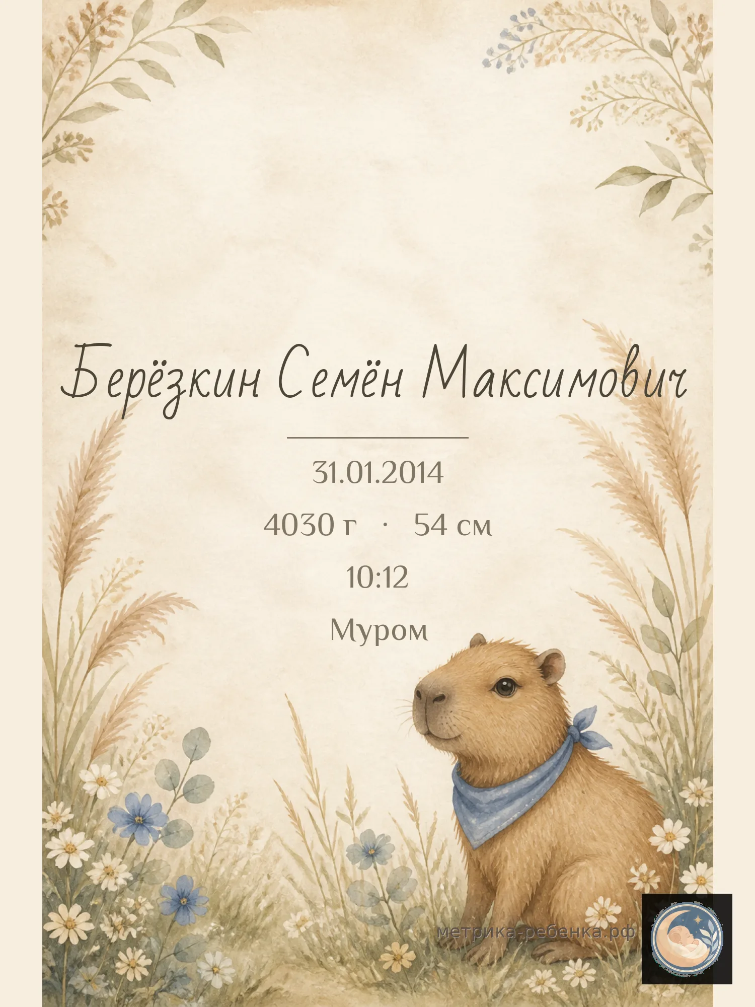 Метрика Берёзкин Семён Максимович