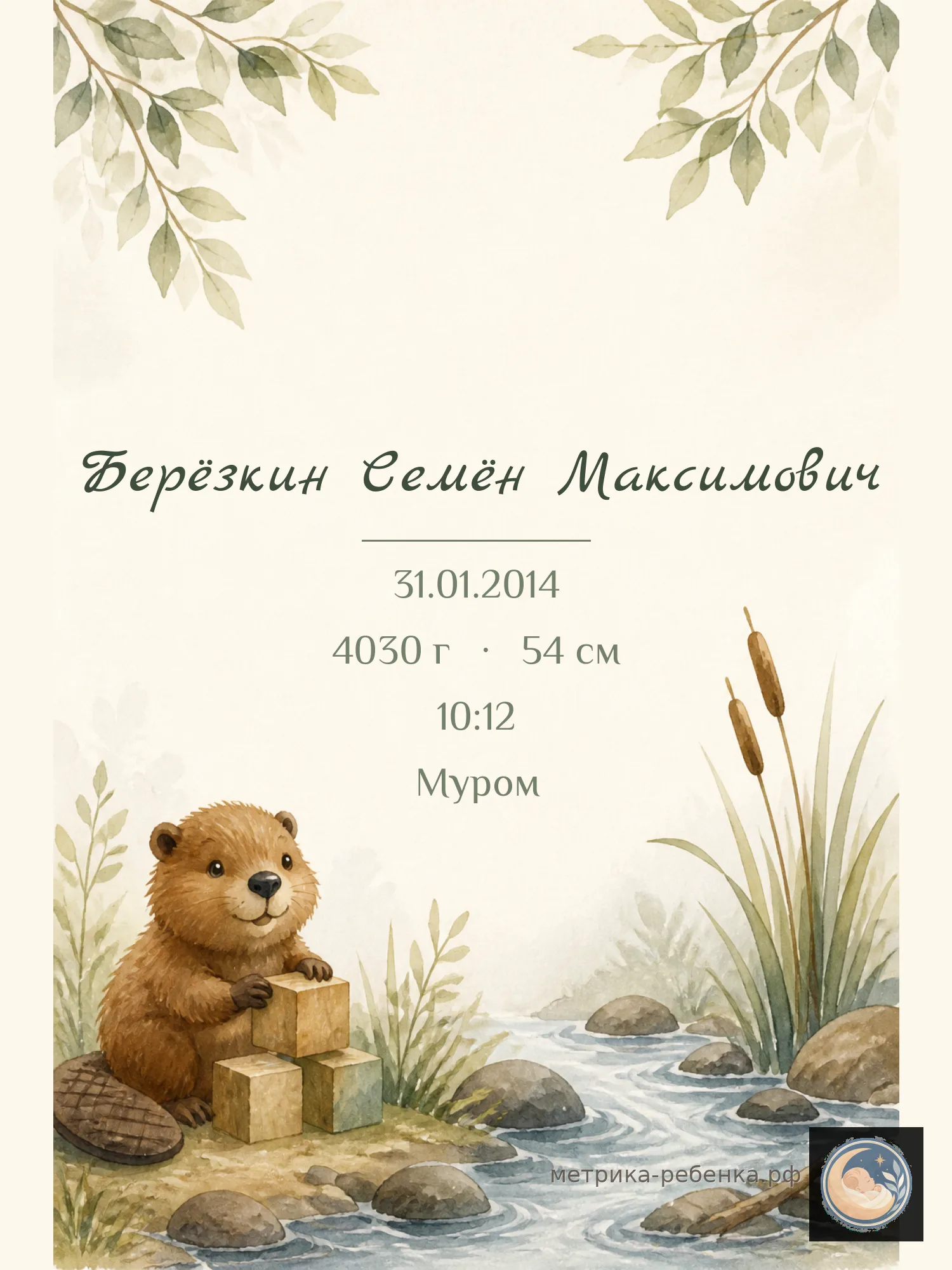 Метрика Берёзкин Семён Максимович