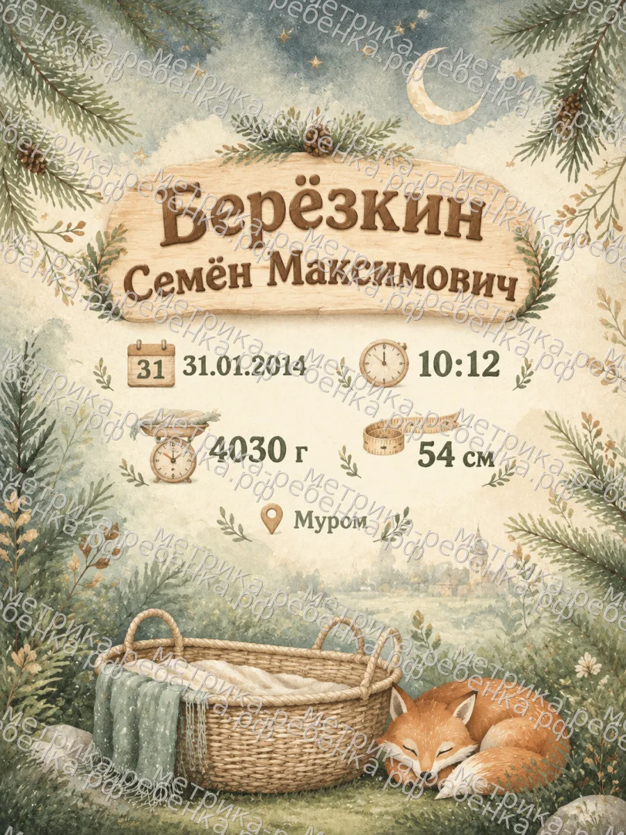 Метрика Берёзкин Семён Максимович