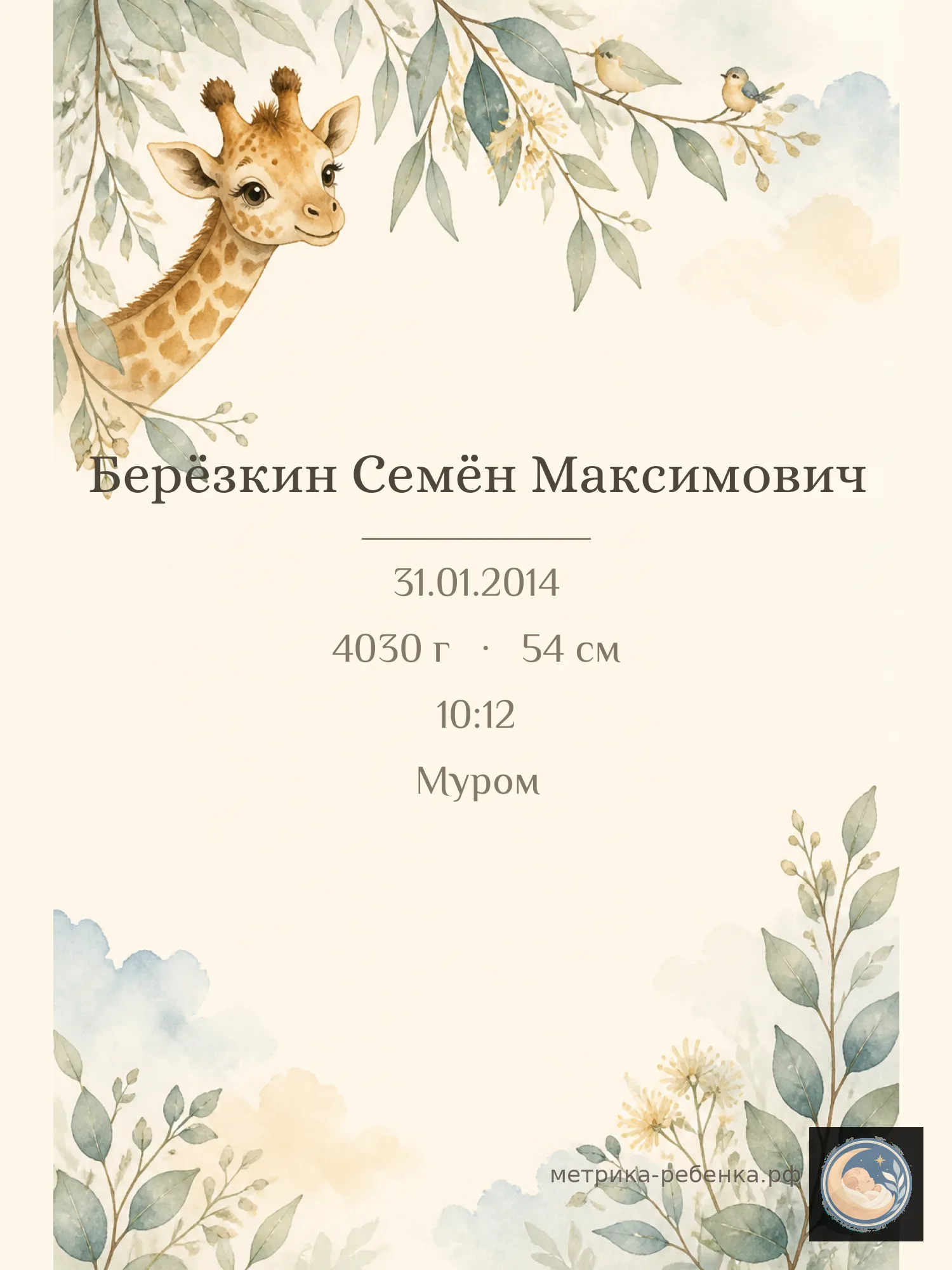 Метрика Берёзкин Семён Максимович