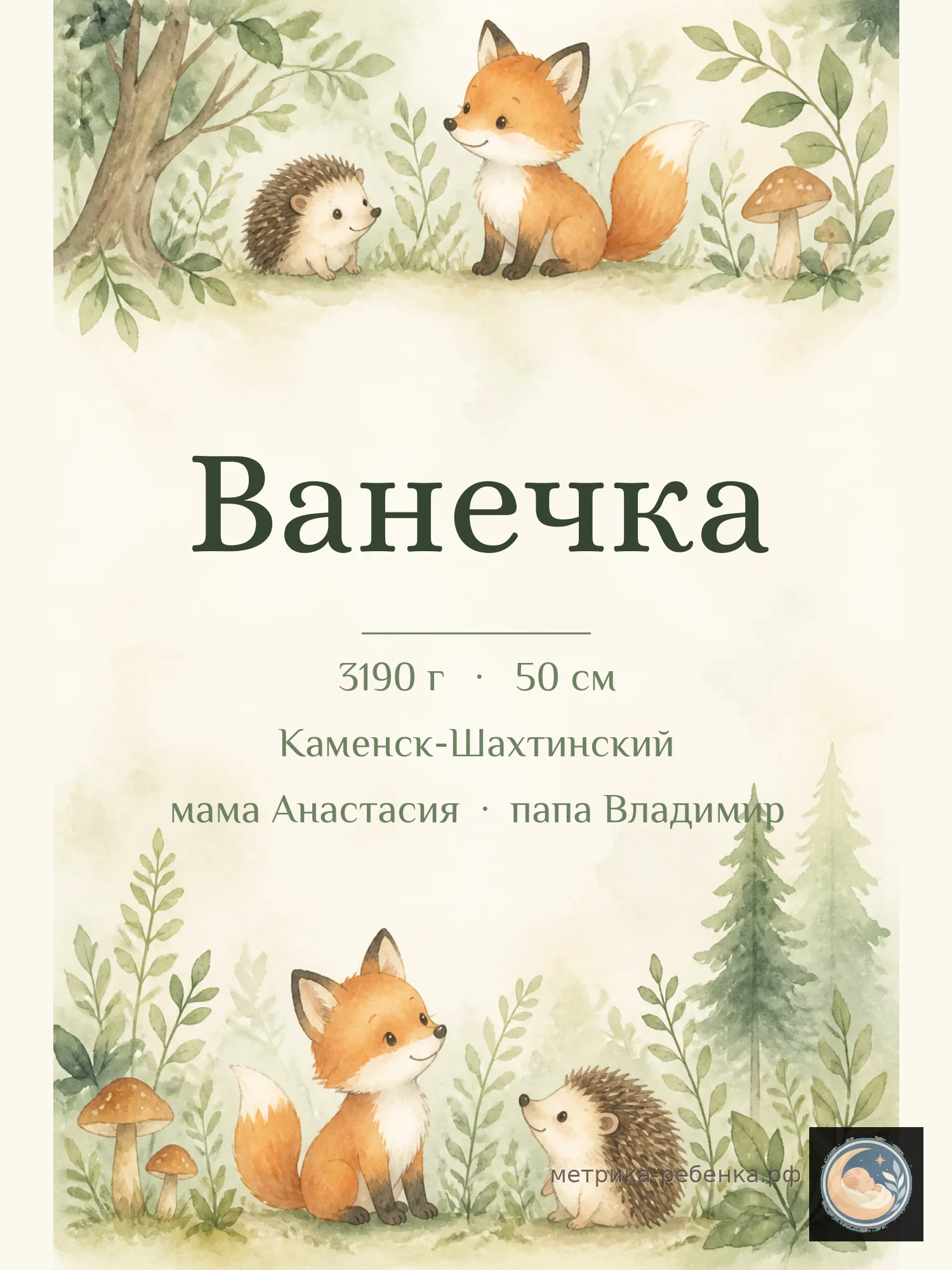 Метрика Ванечка