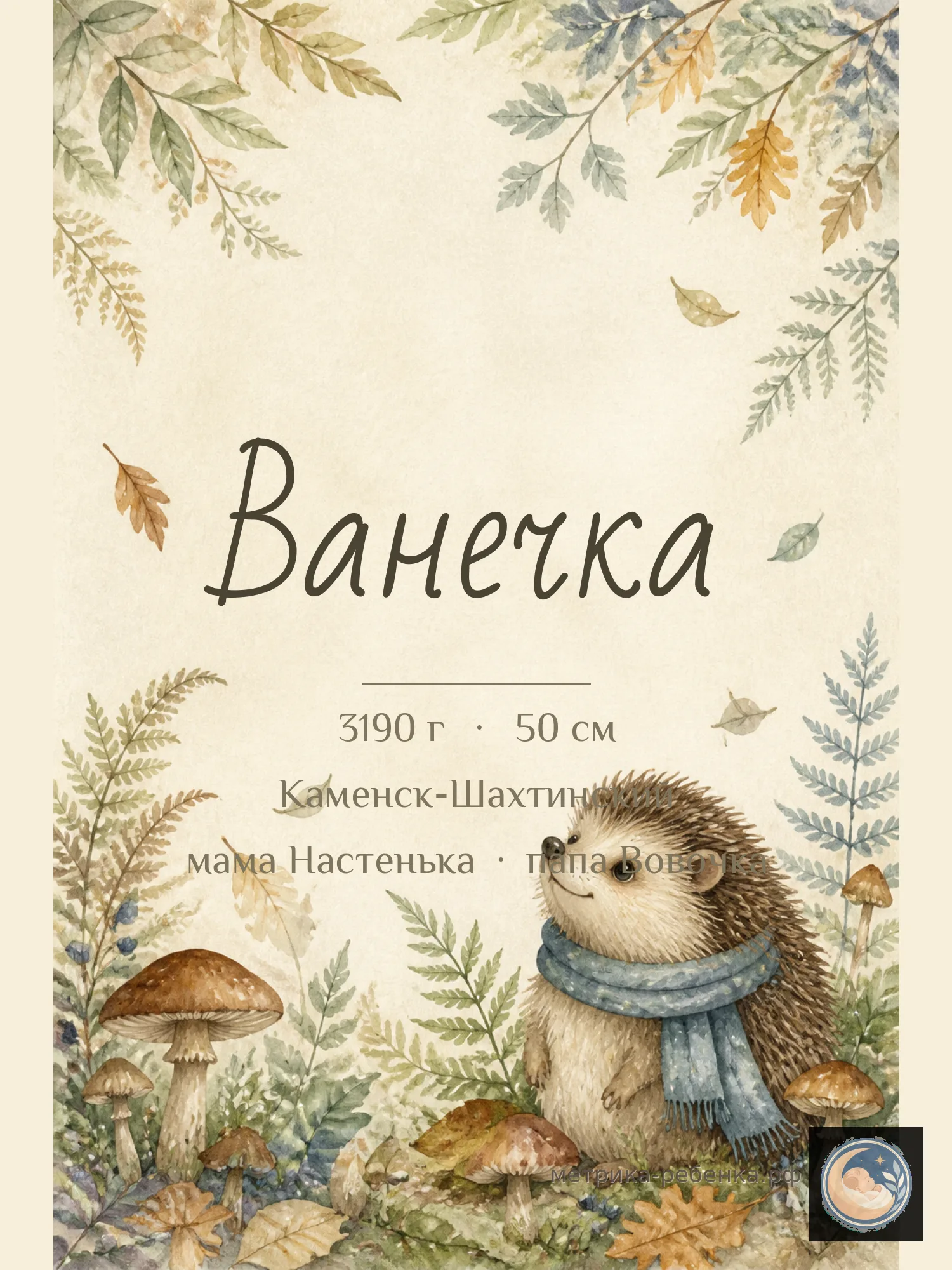 Метрика Ванечка