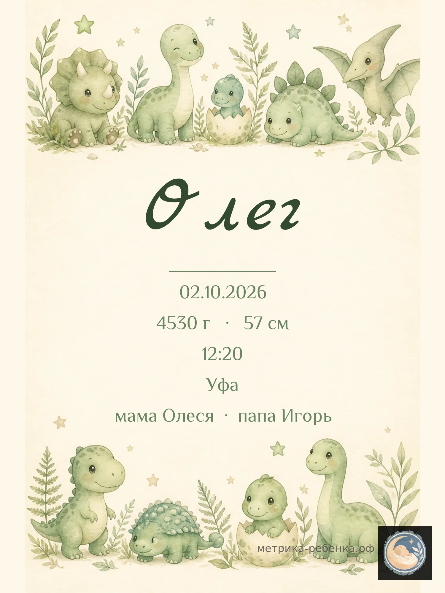 Метрика Олег