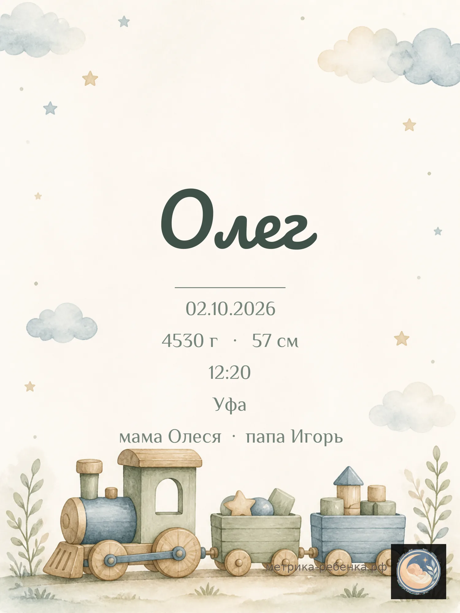 Метрика Олег