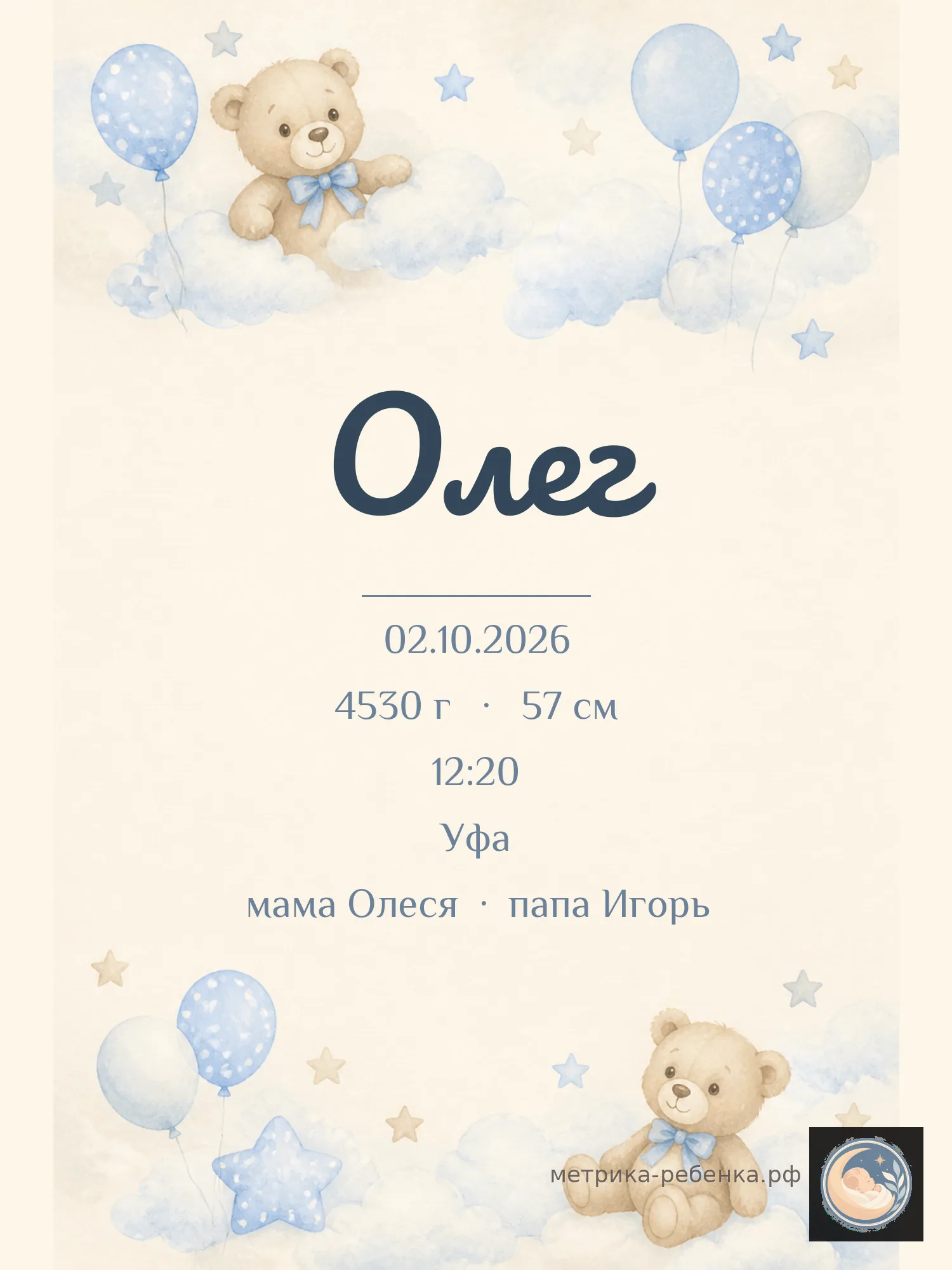 Метрика Олег
