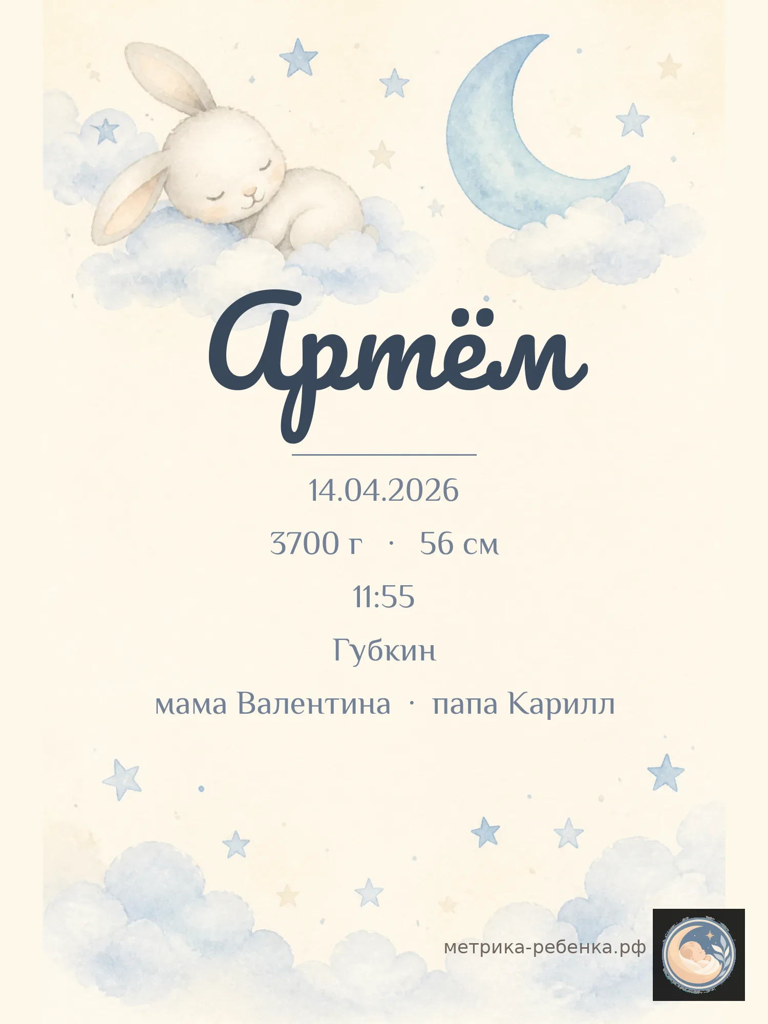 Метрика Артём