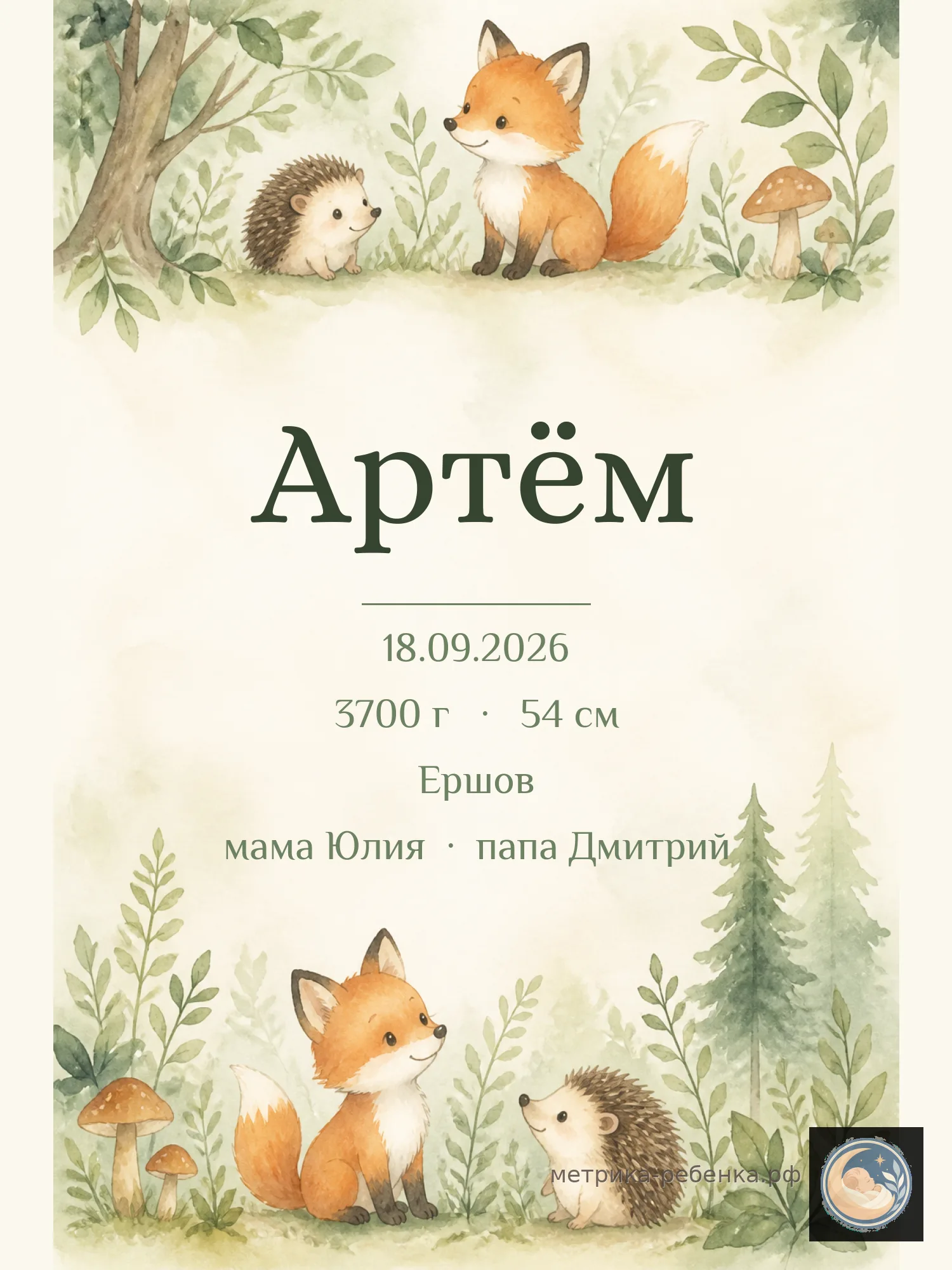 Метрика Артём