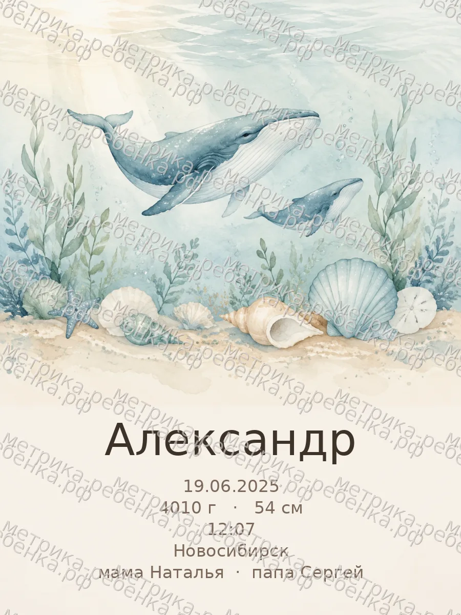Метрика Александр