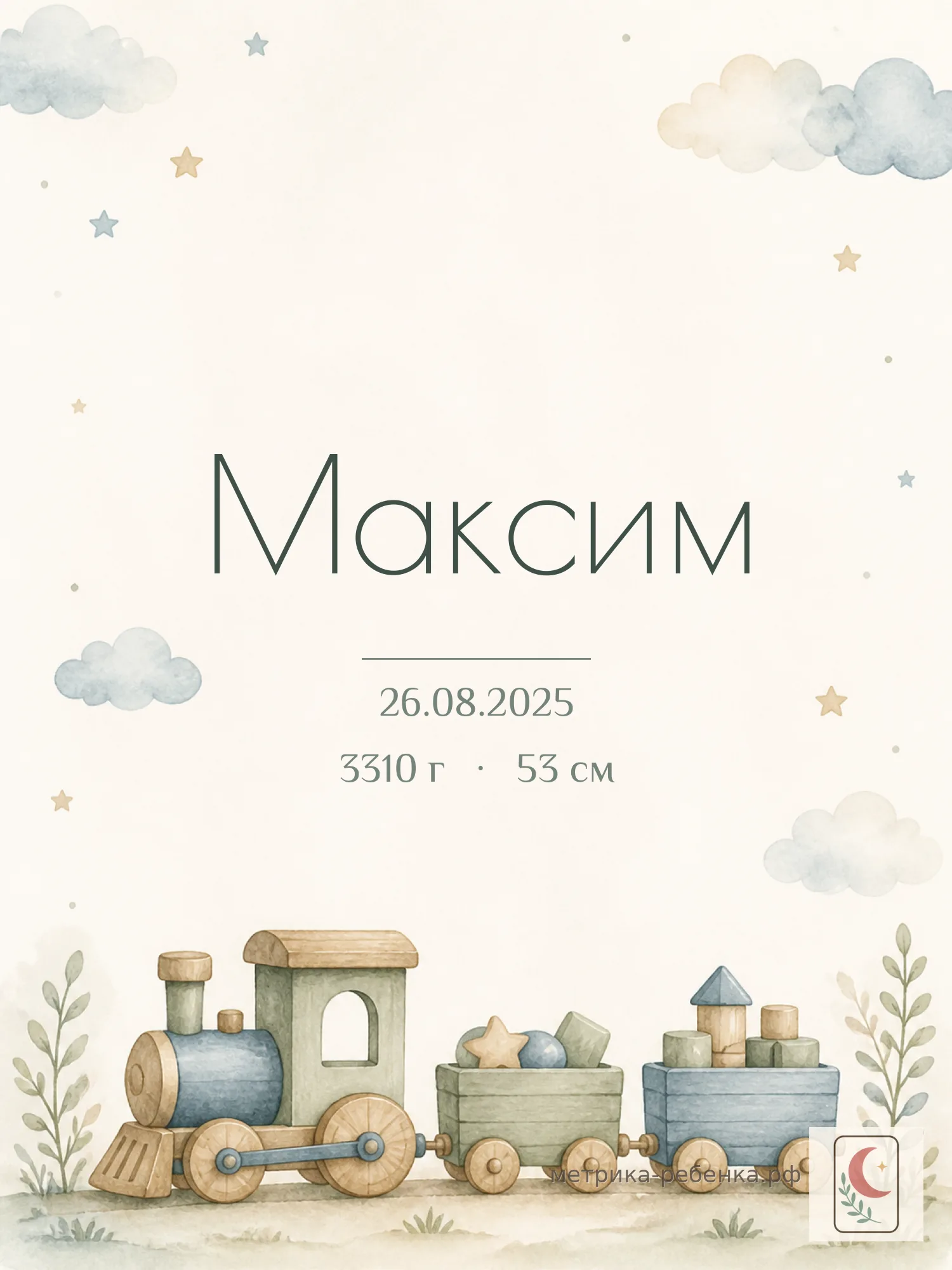 Метрика Максим