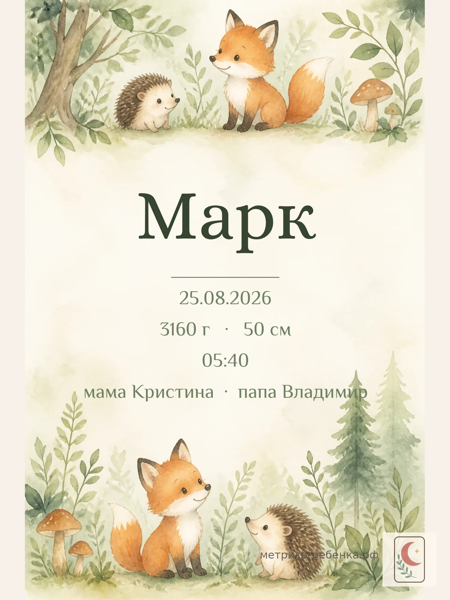 Метрика Марк