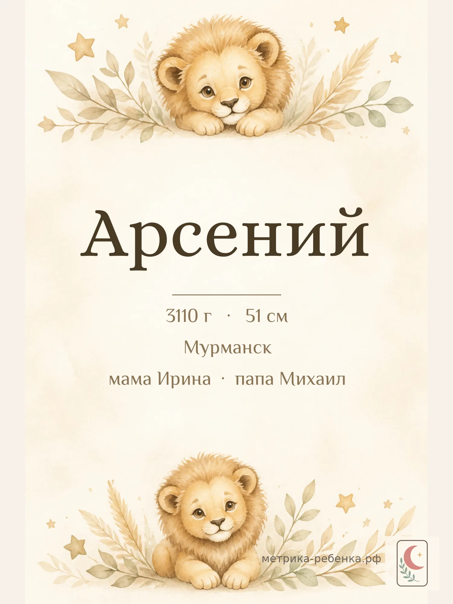 Метрика Арсений