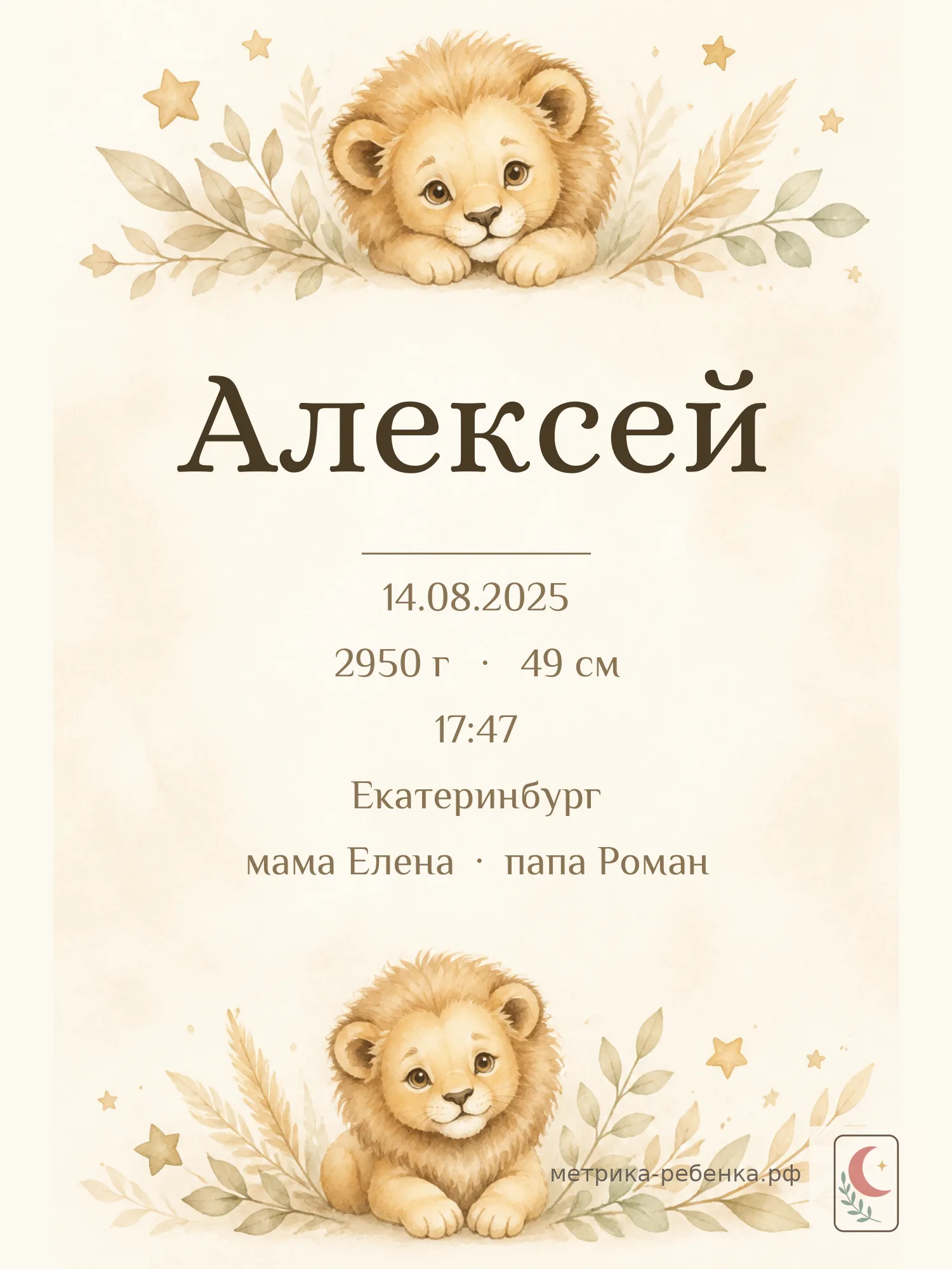 Метрика Алексей