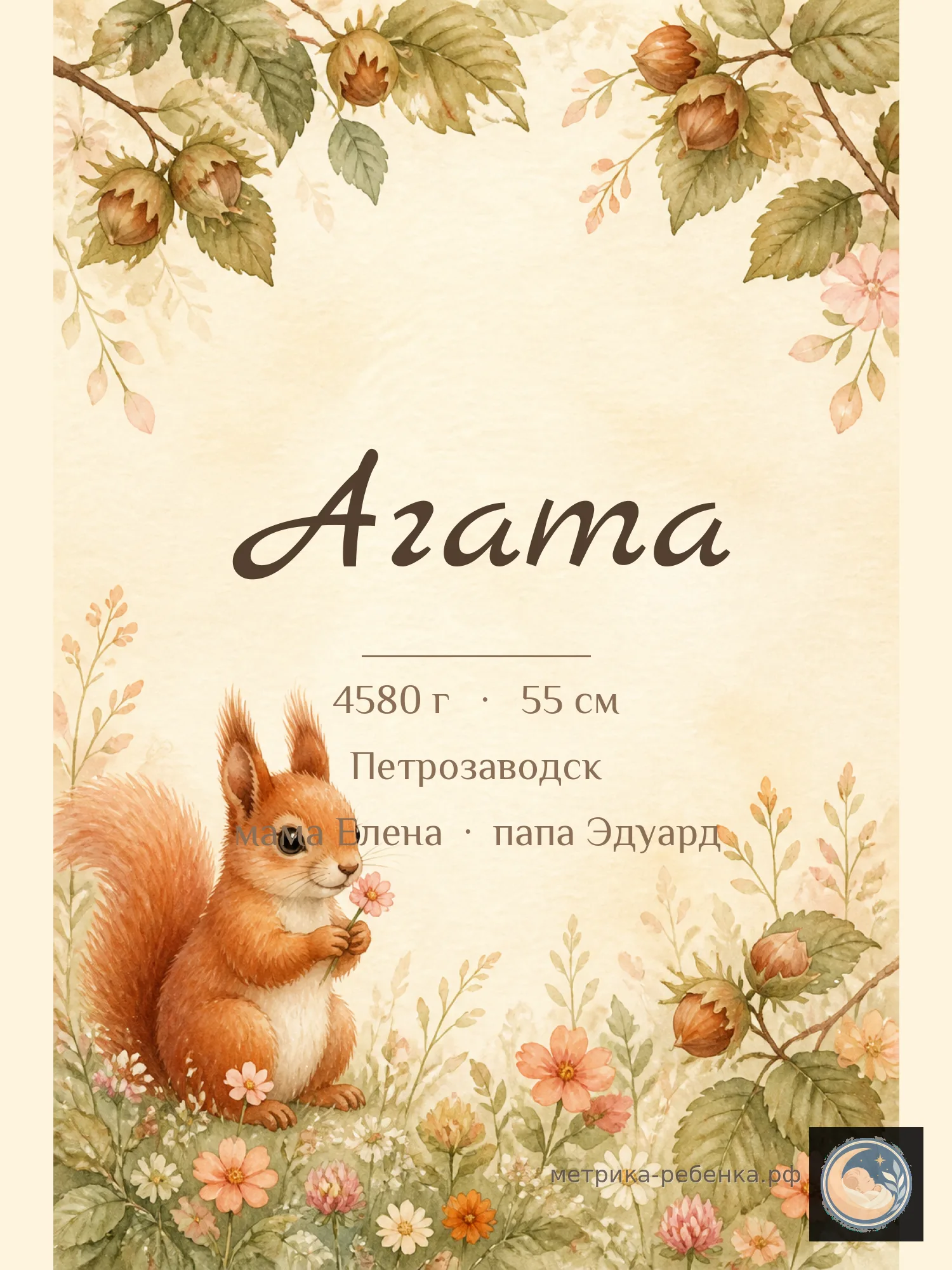 Метрика Агата